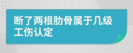 斷了兩根肋骨屬于幾級(jí)工傷認(rèn)定