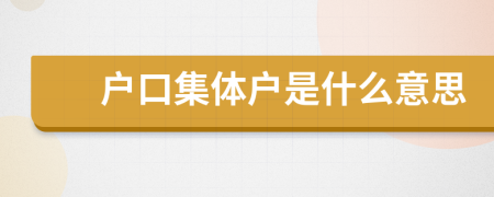 戶口集體戶是什么意思