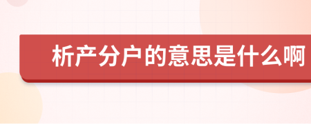 析產分戶的意思是什么啊