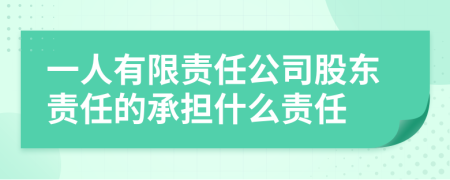 一人有限責(zé)任公司股東責(zé)任的承擔(dān)什么責(zé)任
