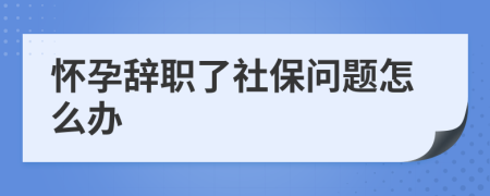 懷孕辭職了社保問(wèn)題怎么辦