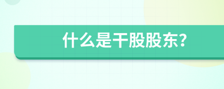 什么是干股股東？