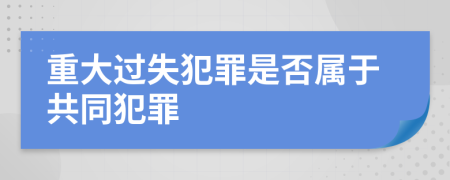 重大過(guò)失犯罪是否屬于共同犯罪