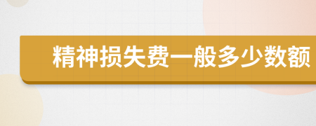 精神損失費(fèi)一般多少數(shù)額