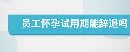 員工懷孕試用期能辭退嗎