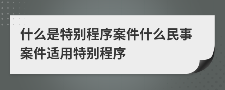 什么是特別程序案件什么民事案件適用特別程序