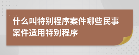 什么叫特別程序案件哪些民事案件適用特別程序