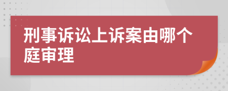 刑事訴訟上訴案由哪個庭審理