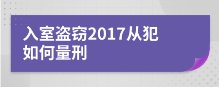 入室盜竊2017從犯如何量刑