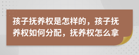 孩子撫養(yǎng)權(quán)是怎樣的，孩子撫養(yǎng)權(quán)如何分配，撫養(yǎng)權(quán)怎么拿