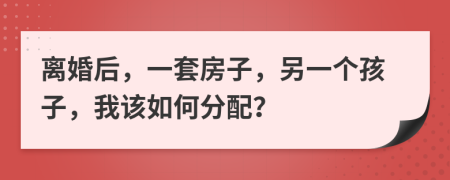 離婚后，一套房子，另一個(gè)孩子，我該如何分配？