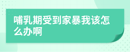 哺乳期受到家暴我該怎么辦啊