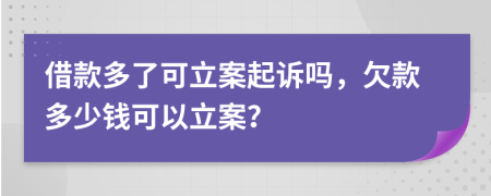 借款多了可立案起訴嗎，欠款多少錢可以立案？