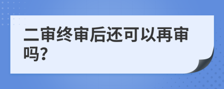 二審終審后還可以再審嗎？