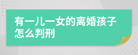 有一兒一女的離婚孩子怎么判刑