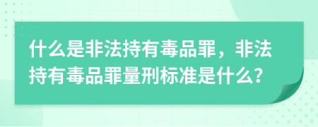 什么是非法持有毒品罪，非法持有毒品罪量刑標準是什么？