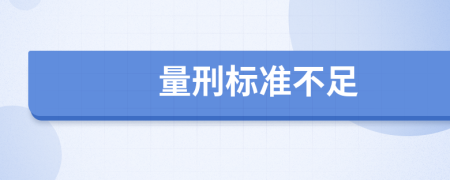 量刑標(biāo)準(zhǔn)不足