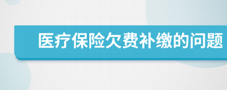 醫(yī)療保險(xiǎn)欠費(fèi)補(bǔ)繳的問題