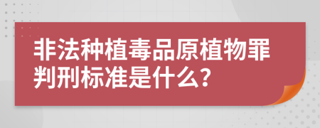 非法種植毒品原植物罪判刑標準是什么？