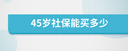 45歲社保能買多少