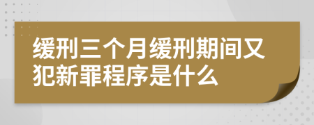 緩刑三個月緩刑期間又犯新罪程序是什么