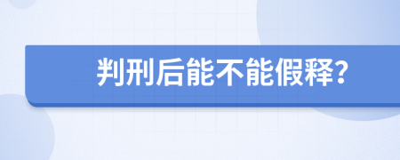判刑后能不能假釋？