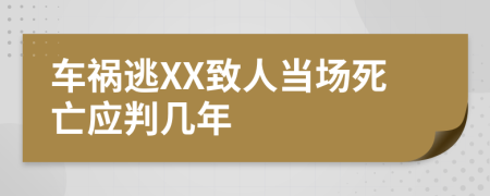 車禍逃XX致人當場死亡應(yīng)判幾年