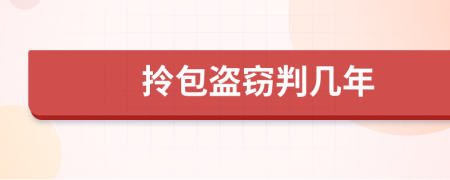 拎包盜竊判幾年