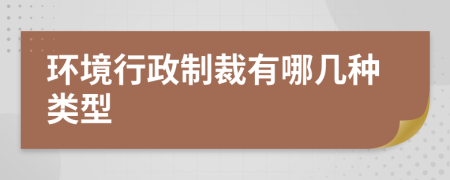 環(huán)境行政制裁有哪幾種類型