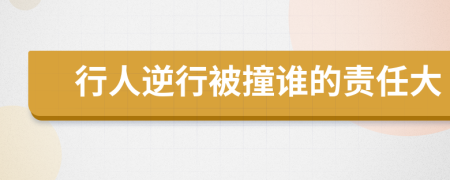 行人逆行被撞誰的責(zé)任大