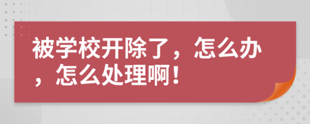 被學(xué)校開除了，怎么辦，怎么處理??！