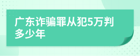 廣東詐騙罪從犯5萬判多少年