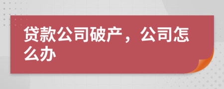 貸款公司破產(chǎn)，公司怎么辦