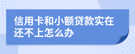 信用卡和小額貸款實在還不上怎么辦