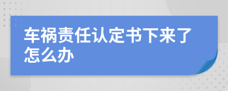 車禍責(zé)任認(rèn)定書下來了怎么辦