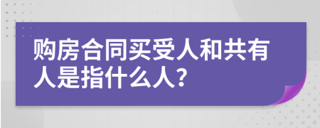 購房合同買受人和共有人是指什么人？