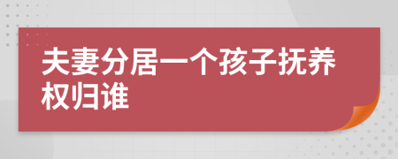 夫妻分居一個(gè)孩子撫養(yǎng)權(quán)歸誰(shuí)