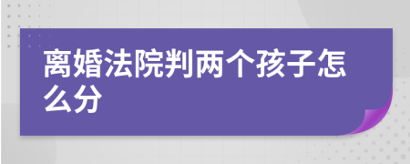 離婚法院判兩個(gè)孩子怎么分