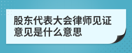 股東代表大會(huì)律師見(jiàn)證意見(jiàn)是什么意思