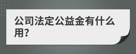 公司法定公益金有什么用？