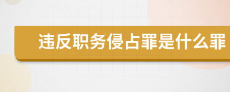 違反職務(wù)侵占罪是什么罪