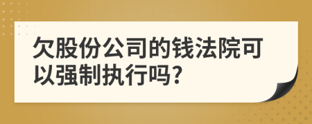 欠股份公司的錢法院可以強制執(zhí)行嗎?