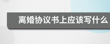 離婚協(xié)議書上應該寫什么