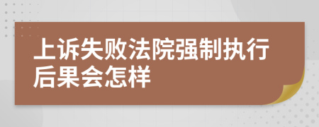 上訴失敗法院強(qiáng)制執(zhí)行后果會(huì)怎樣