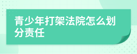 青少年打架法院怎么劃分責(zé)任