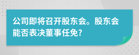 公司即將召開股東會(huì)。股東會(huì)能否表決董事任免?