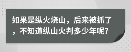 如果是縱火燒山，后來(lái)被抓了，不知道縱山火判多少年呢？