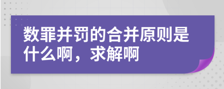 數(shù)罪并罰的合并原則是什么啊，求解啊