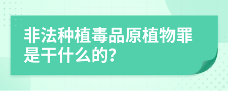 非法種植毒品原植物罪是干什么的？