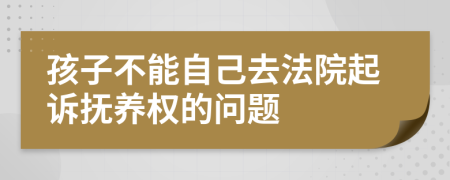 孩子不能自己去法院起訴撫養(yǎng)權(quán)的問(wèn)題